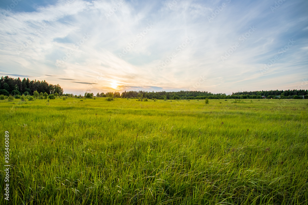 Summer Landscape With Young Grass And Sunrise.