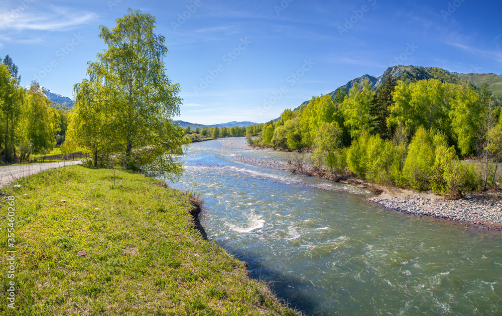 View of the forest river, countryside. Summer forest greens and picturesque sky.