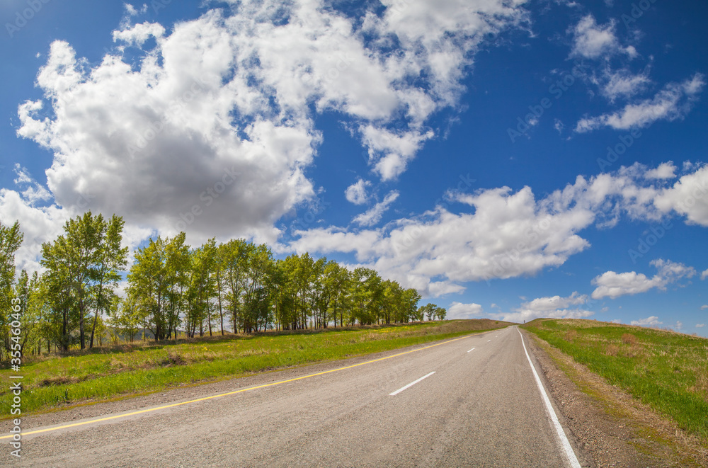 The road along the forest, spring meadows and fields, the countryside. The road along the forest, spring meadows and fields, the countryside.