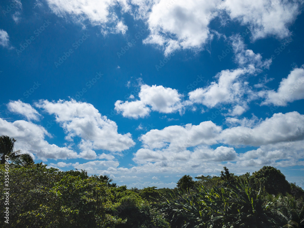 Clouds and sky vegetation