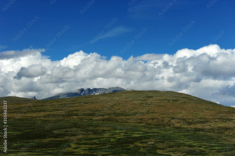 Dovrefjell mountains in Norway on a summer day.