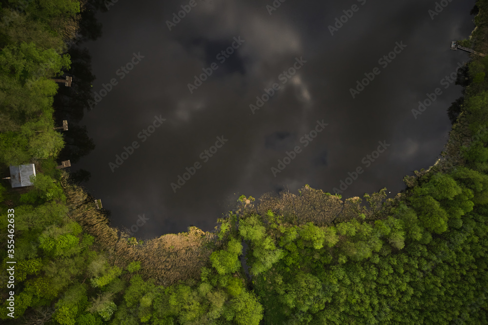 A drone photo of an apple orchard at sunset. Fruit trees with flowers, spring time. Rural scenery, organic farming