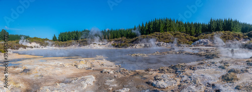 Photography Hell's Gate Geothermal Reserve in New Zealand