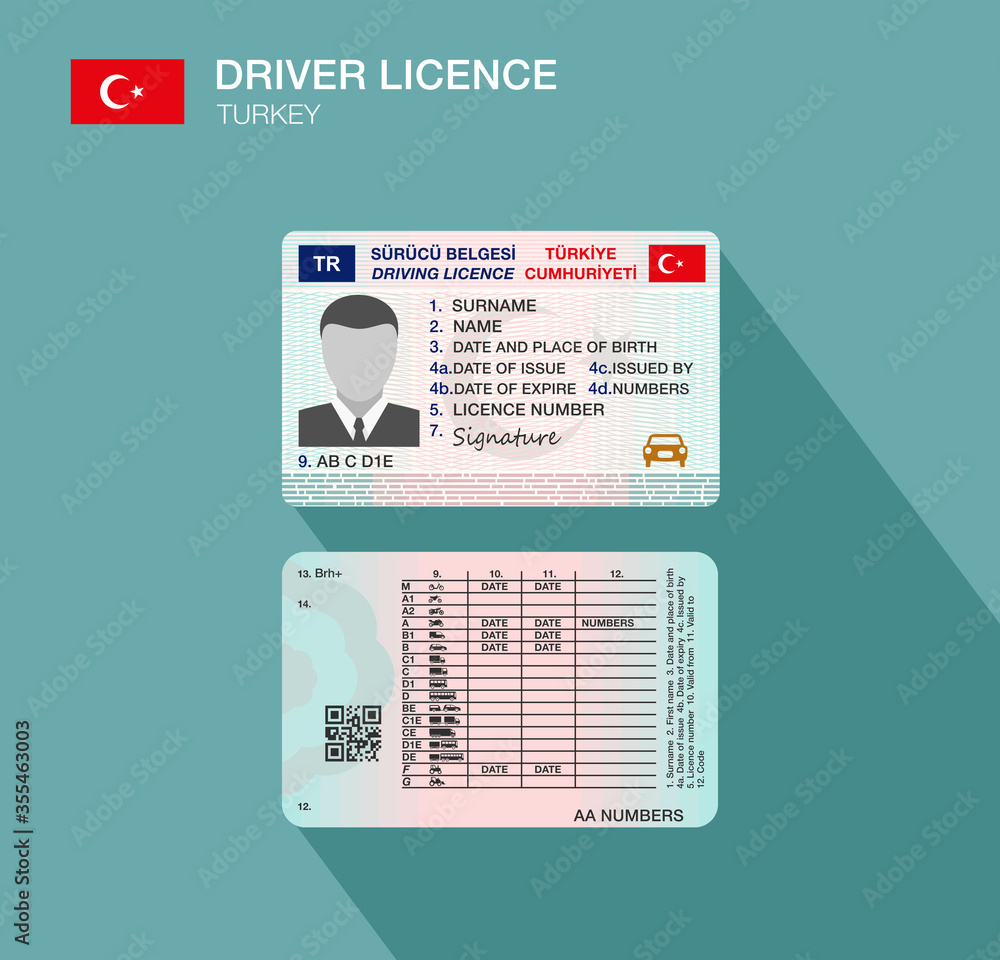 Turkish car driver license identification. Flat vector illustration