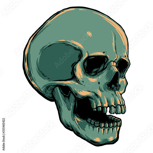 human skull vector illustration. Hand draw line art anatomically correct human skull isolated vector illustration. tattoo design. symbol of life.