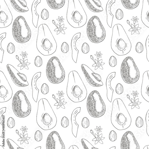 Avocado seamless pattern on a white background. Botanical illustrations in the engraving style. Tropical plant.