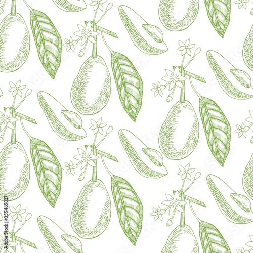 Green Avocado seamless pattern on a white background.   Botanical illustrations in the engraving style. Tropical evergreen fruit plant.