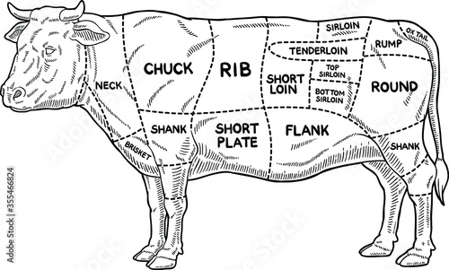 Vector Beef Meat Cuts Diagram Line Art