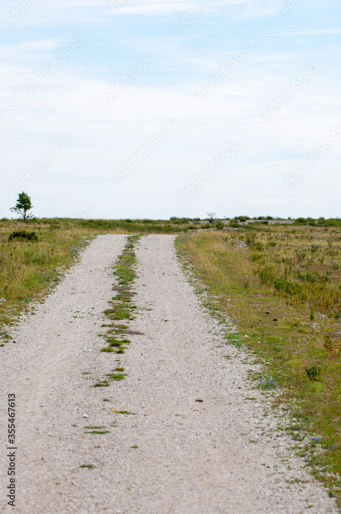 Dirt road in open grass landscape