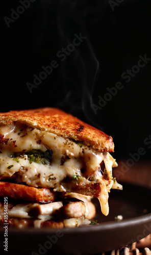 Grilled cheese hot sandwich on a dark background. Copy space