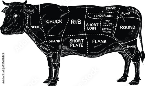 Vector Black Beef Meat Cuts Diagram photo
