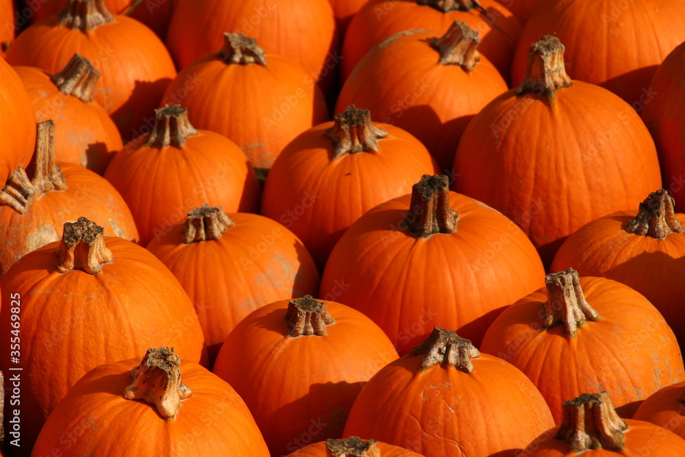 pumpkins pumpkins