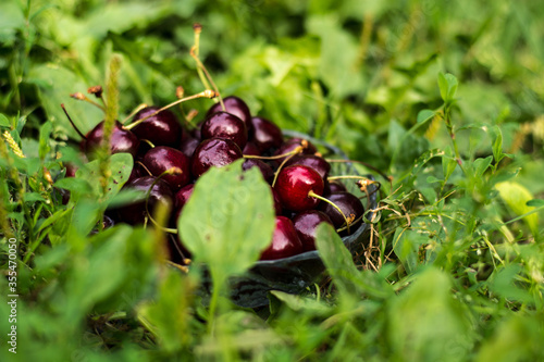 Cherries on the street, among the greenery in a transparent vase