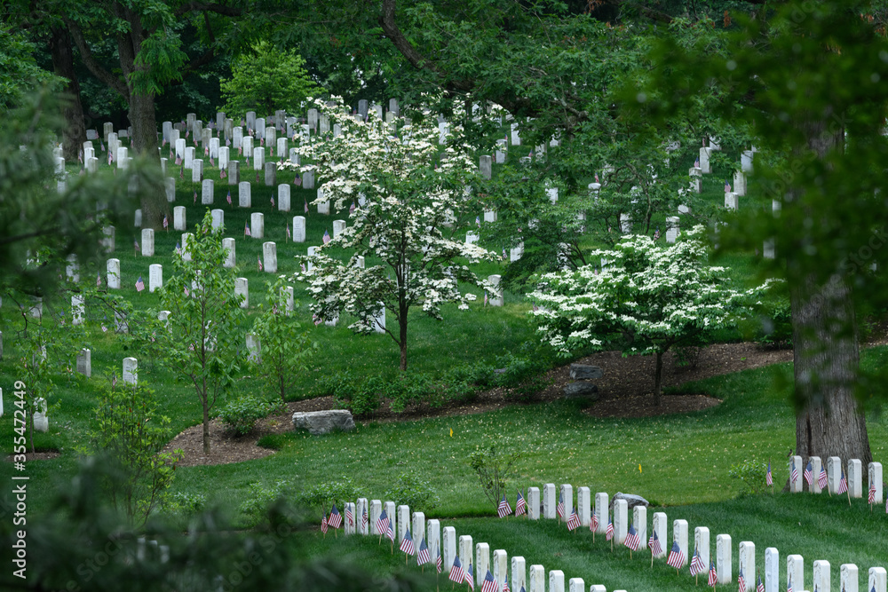 Fototapeta premium Memorial Day at Arlington National Cemetery
