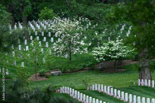 Memorial Day at Arlington National Cemetery © Cathy Summers