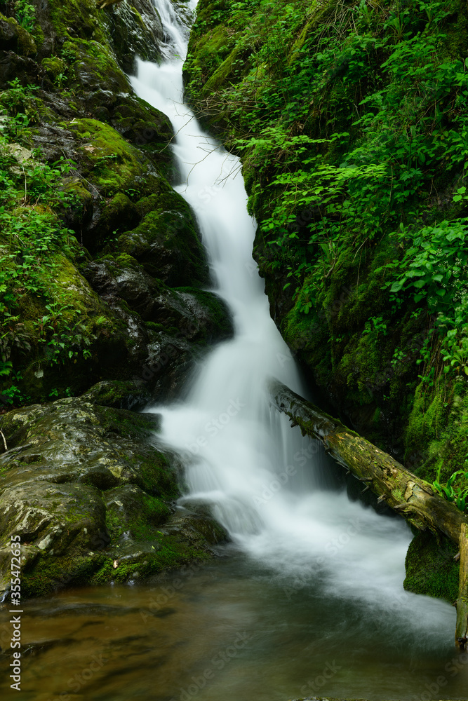 At the Base of Dark Hollow Falls on a Spring Morning