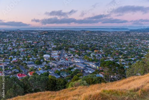 Fotografie, Obraz Sunrise view of suburb of Auckland, New Zealand