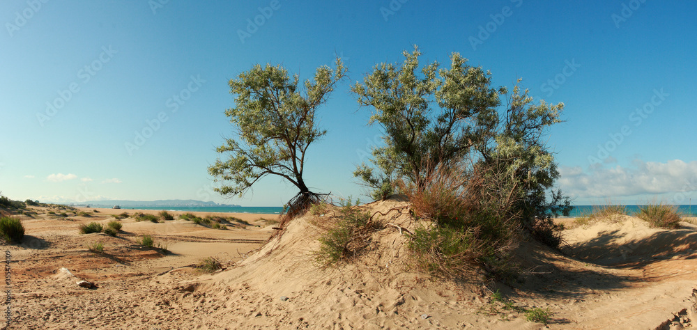 Panorama of sand dunes by the sea