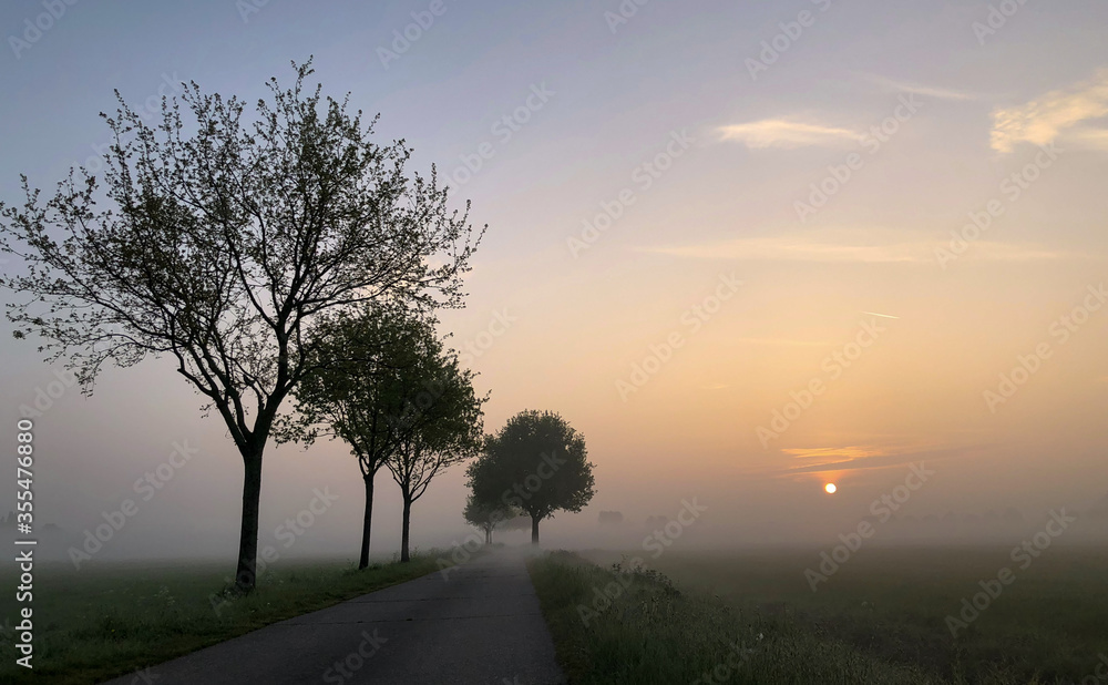 Fototapeta premium Colorful dreamy glowing summer sunrise landscape, a field road lined with some tree silhouettes stretching into the distance misty farmfields, depicting the concept of travel and adventure