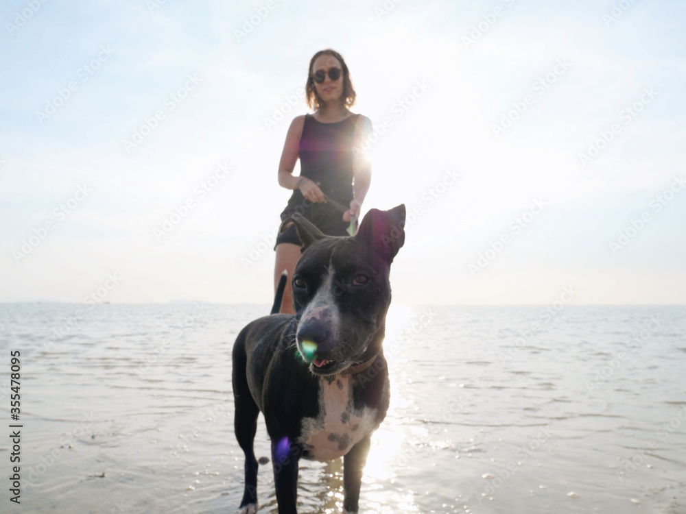 Unfocused girl with dog stand in sea in sunshine