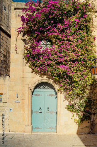 Blue house door with purple bougainvillea flowers in Mdina, Malta. Old mediterranean architecture building.