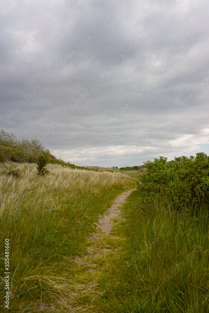 Fehmarn, Germany - 05/26/2020: Small Footpath On The Isle Of Fehmarn Near The Lighthouse Of Flügge