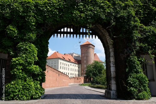 Wawel Royal Castle in Krakow, Poland. Exterior view through the gate overgrown with ivy green ivy. 