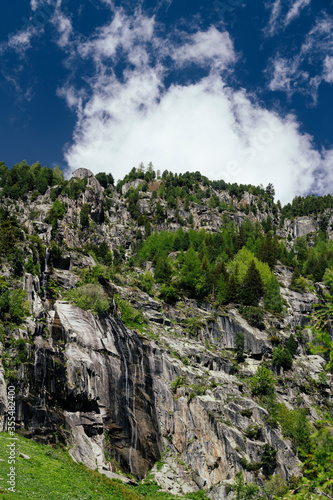 Alpine mountains  meadows and forests on a background of blue sky with clouds.