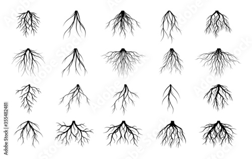 Set of black Tree Roots on white background. Vector Illustration. Plant in Garden.