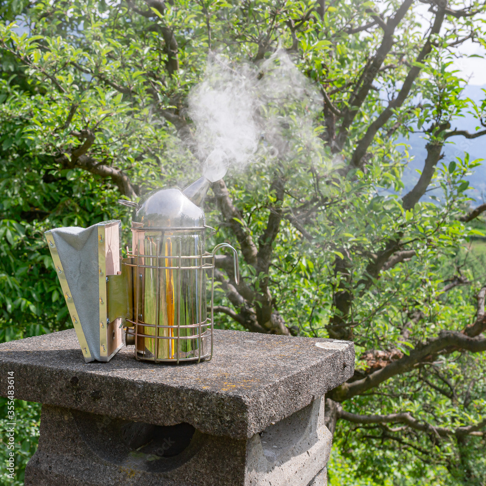 Fototapeta premium A smoker lit and ready for the beehive inspection. Cold smoke is used to calm the carniolan honey bees in a small private apiary on a green meadow in Trentino, Italy on a warm sunny day.