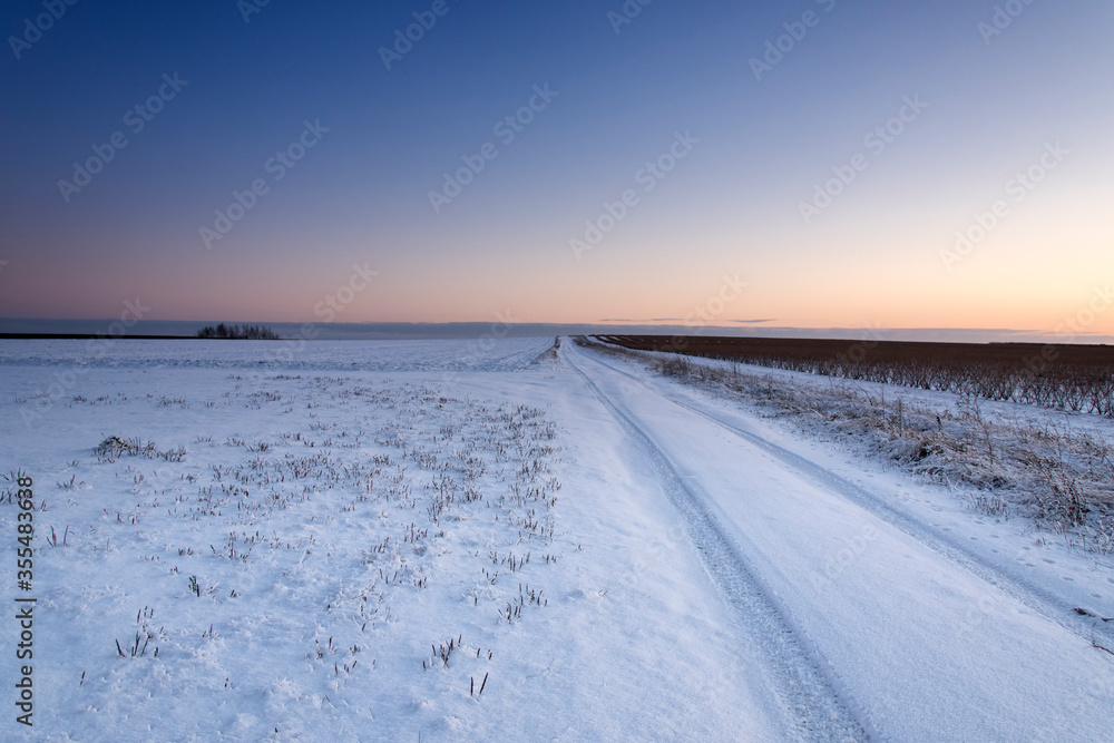 Winter road in the snow