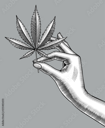 Female hand with a cannabis leaf