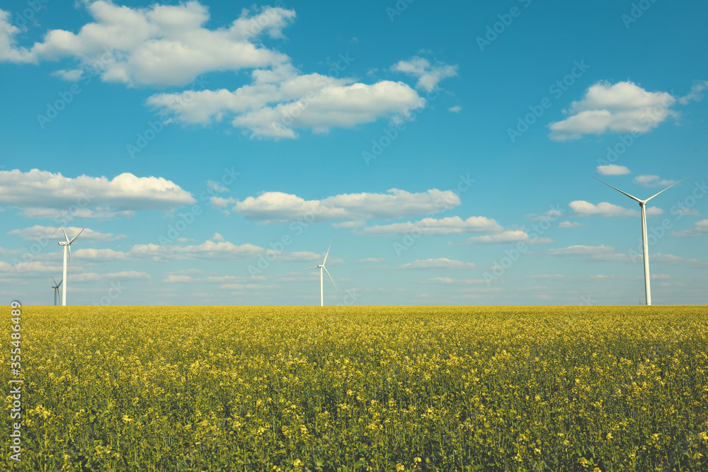 Beautiful rapeseed field with windmills against blue sky Beautiful rapeseed field with windmills against blue sky