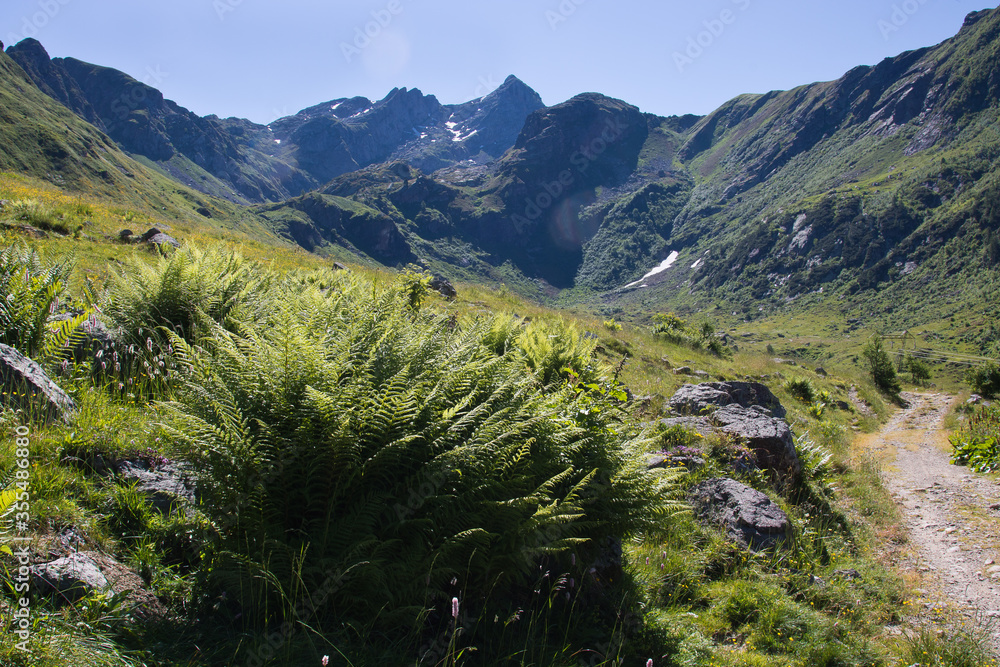 Panoramic view on the mountains.
Panoramic view with mountains, plant, and footpath