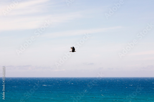 Volo sul mare