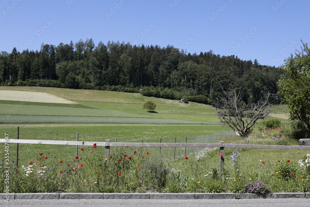 Obraz premium strassenrand