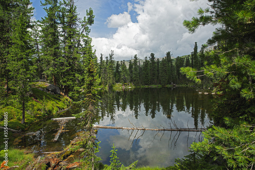 Lake and around the taiga in the Natural Park of Russia Ergaki.