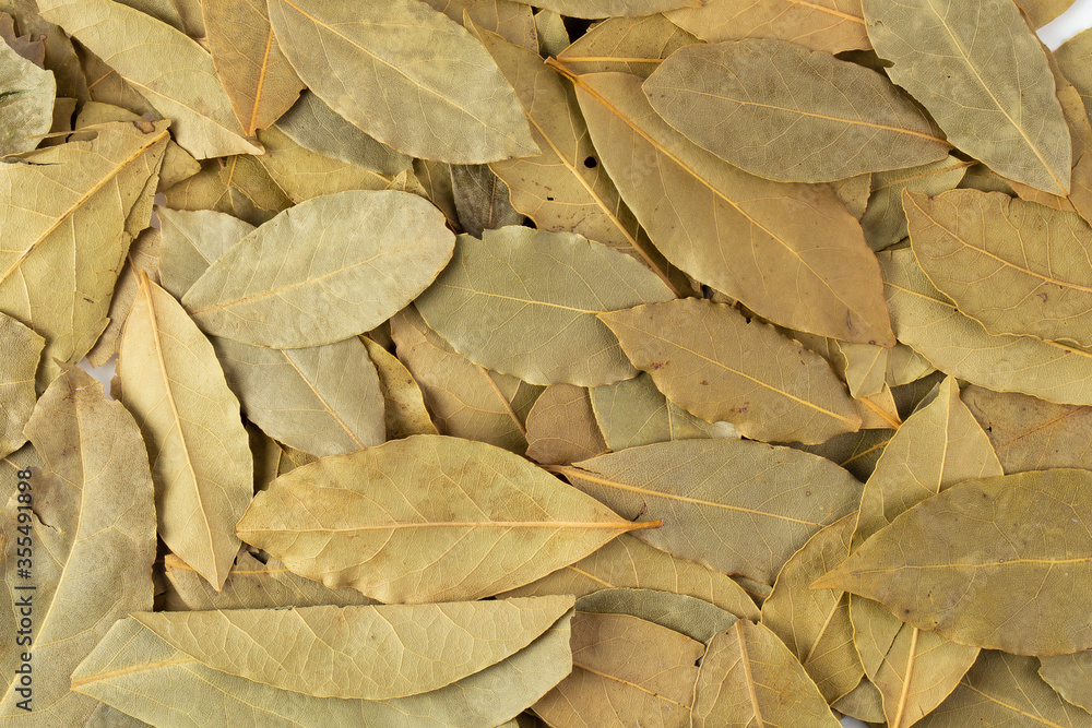 Dried bay leaves isolated on white background Dried bay leaves isolated on white background