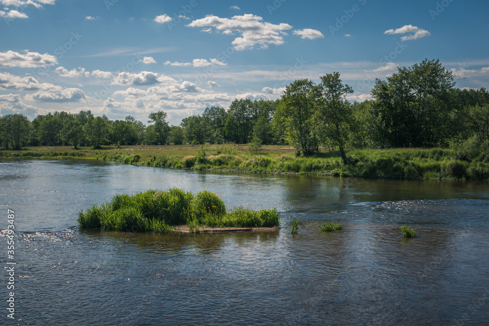 Pilica river at beautiful sunny day near Gapinin, Lodzkie, Poland