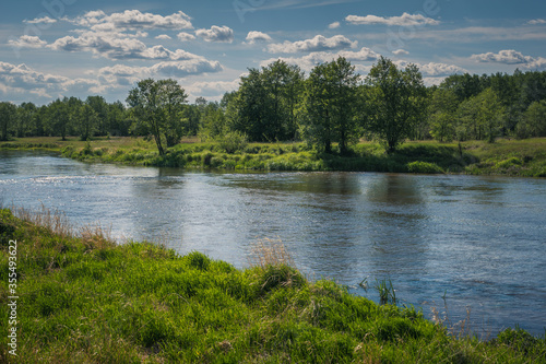 Obraz na płótnie Pilica river at beautiful sunny day near Gapinin, Lodzkie, Poland w salonie