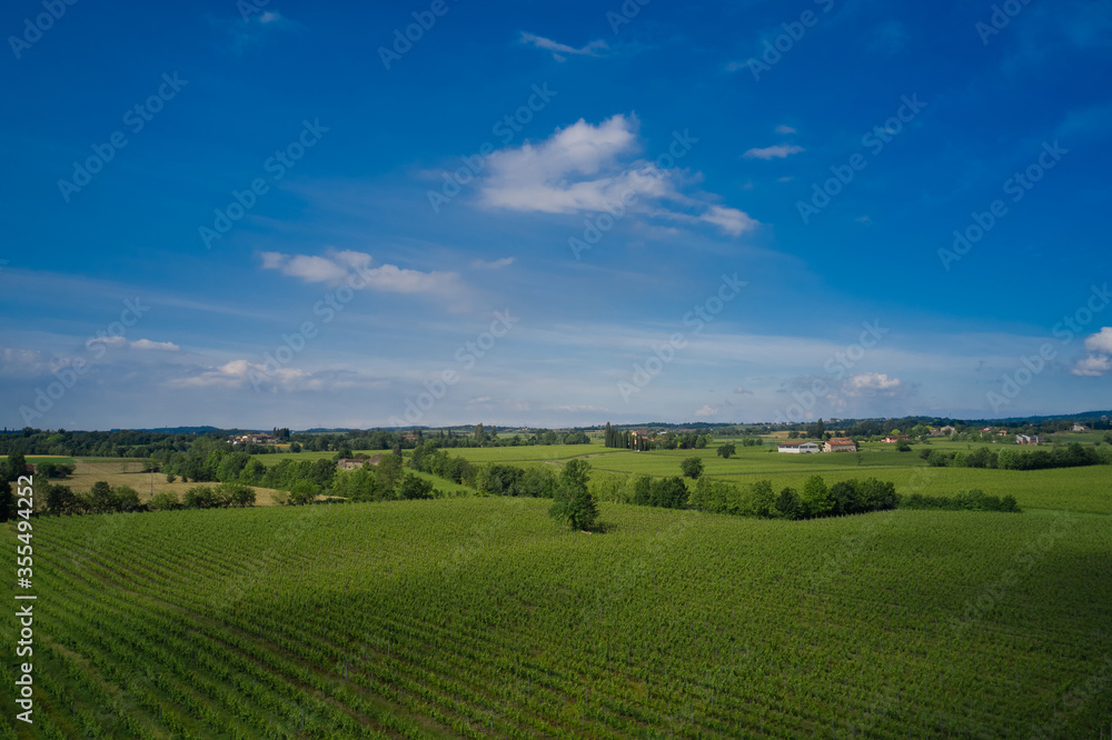 Vineyards, panoramic aerial view of Italy. Clouds on blue sky background Vineyards, panoramic aerial view of Italy. Clouds on blue sky background