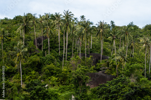 Summer tropical forest hills with a cloudy sky. Mountains and white clouds on a blue sky. Tropical summer holiday vacation concept.