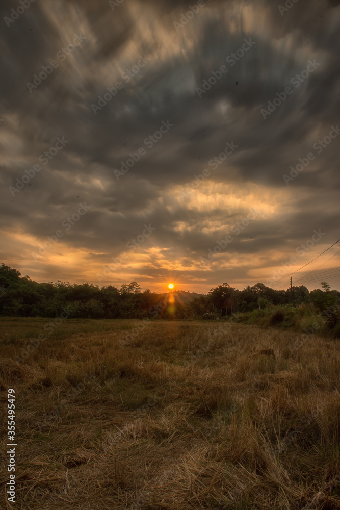 sunset over the field