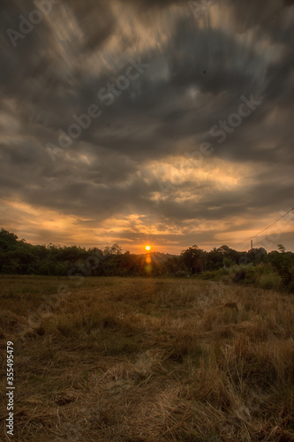 sunset over the field