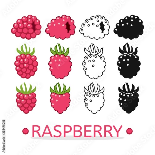 vector raspberry set