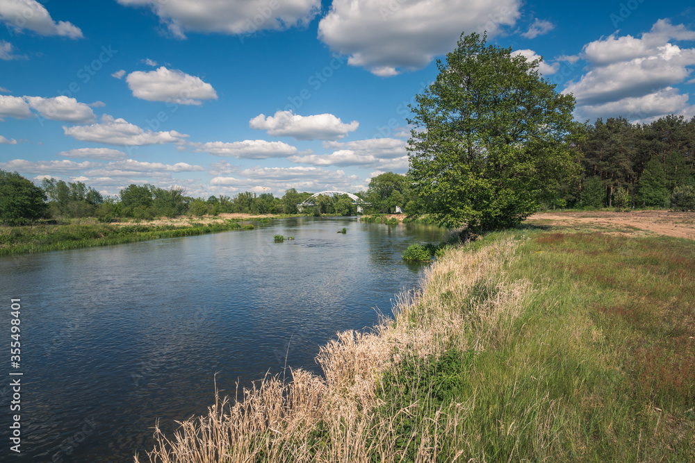 Pilica river at beautiful sunny day near Gapinin, Lodzkie, Poland