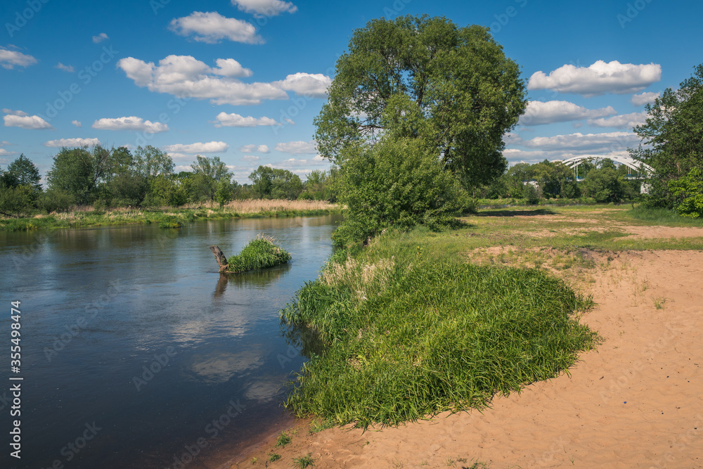 Pilica river at beautiful sunny day near Gapinin, Lodzkie, Poland