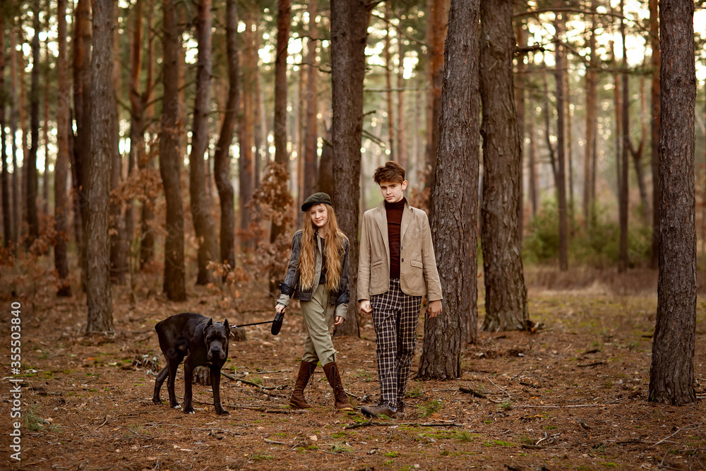 Girl and boy walk with a dog Cane corso in the forest and have a fun. Children stand near a tree and hold a dog on a leash. Girl and boy walk with a dog Cane corso in the forest and have a fun. Children stand near a tree and hold a dog on a leash.