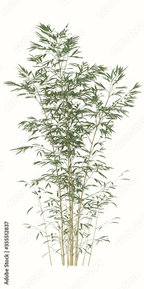 Naklejka premium Bambu