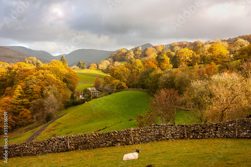 Colorful autumn landscape in the mountain village.